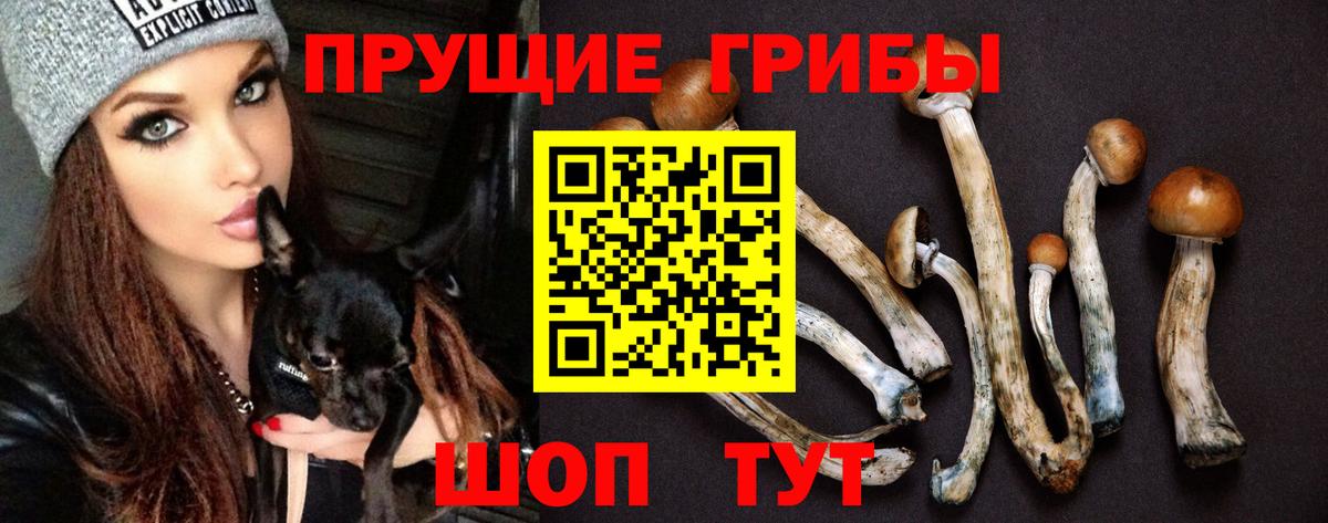Галлюциногенные грибы Cubensis Апатиты